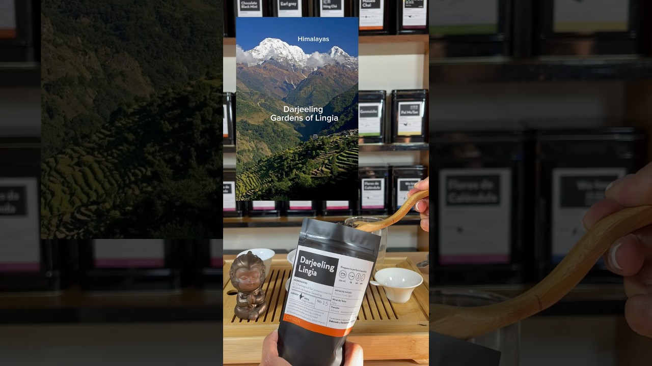 Hoy prepar&eacute; un #Darjeeling &ldquo;el champagne de los t&eacute;s&rdquo; #tea  #sommelierdete #teasommelier