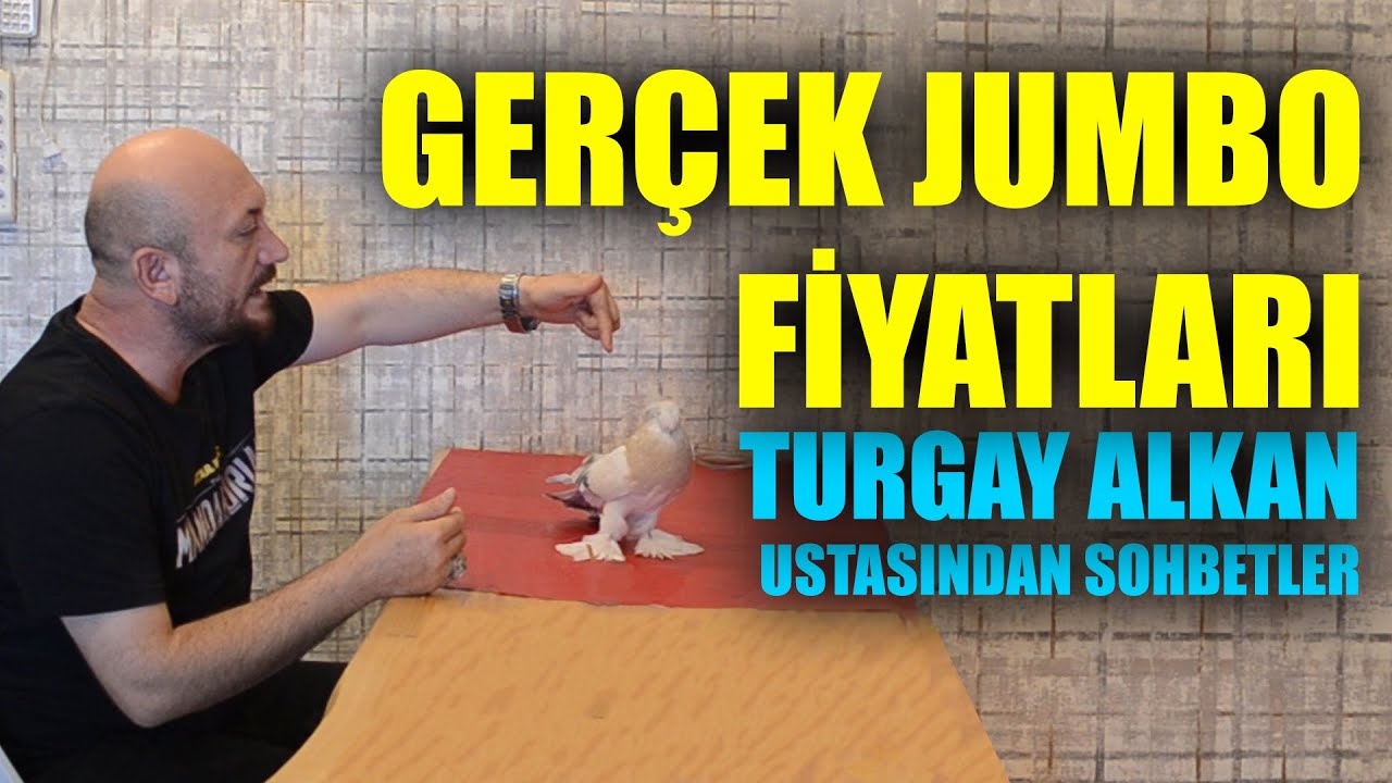 GERÇEK JUMBO FİYATLARI! PİYASANIN EN İYİ JUMBOLARI TURGAY ALKAN ile Ustasından Sohbetler