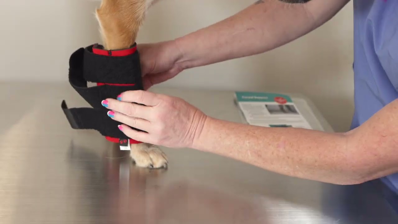 How to Fit the Dogleggs Carpal Support