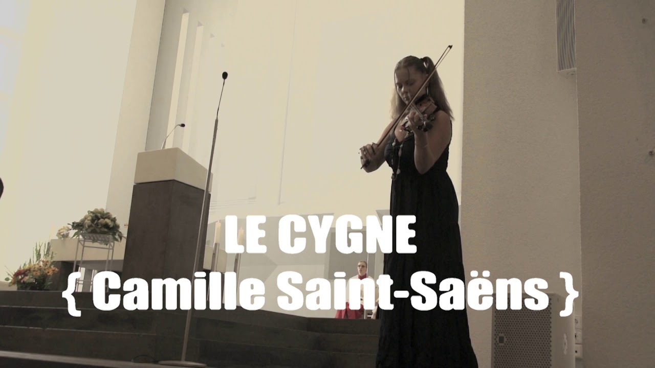 THE LONELY SHEPHERD - CINEMA PARADISO - LE CYGNE [ VIOLIN COVER MEDLEY live ]