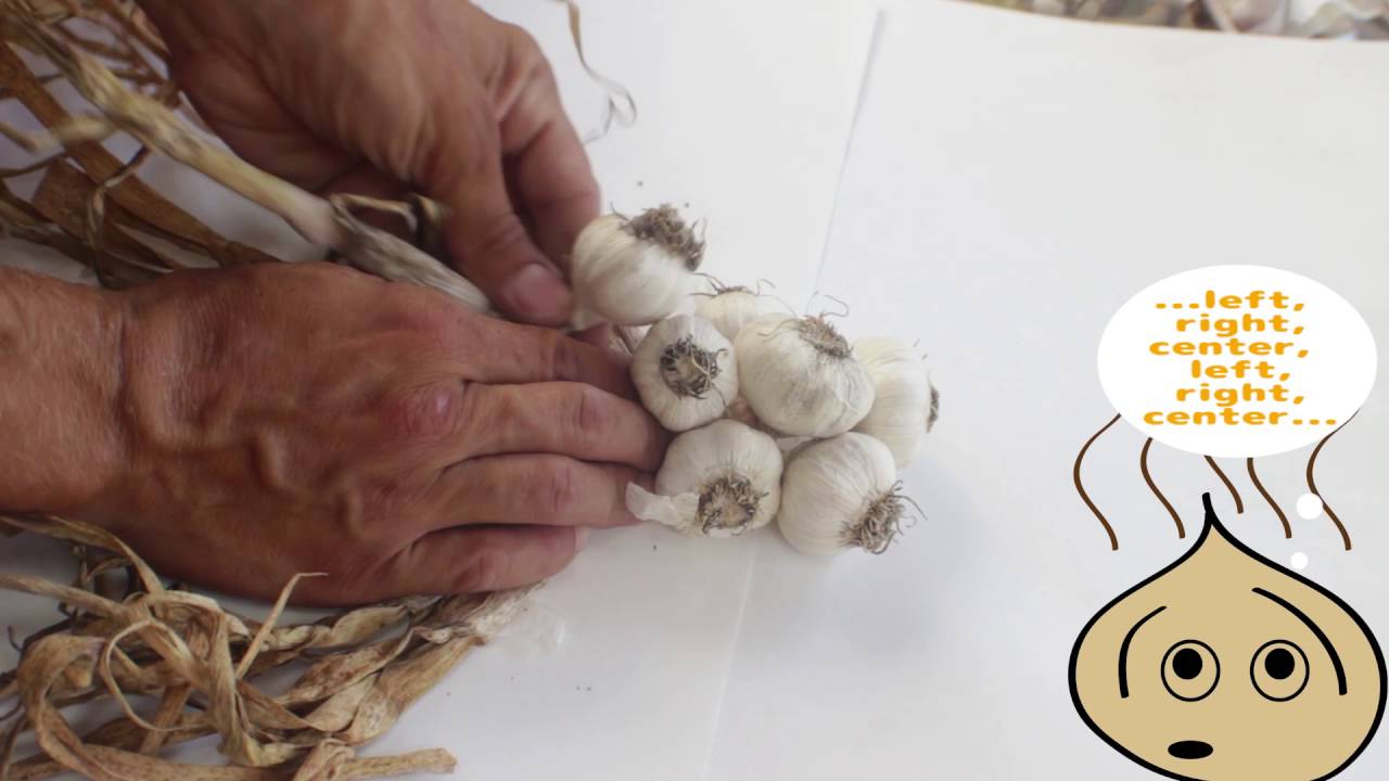How to mak a Garlic Braid (English) | Let's DIY by Michael Keida