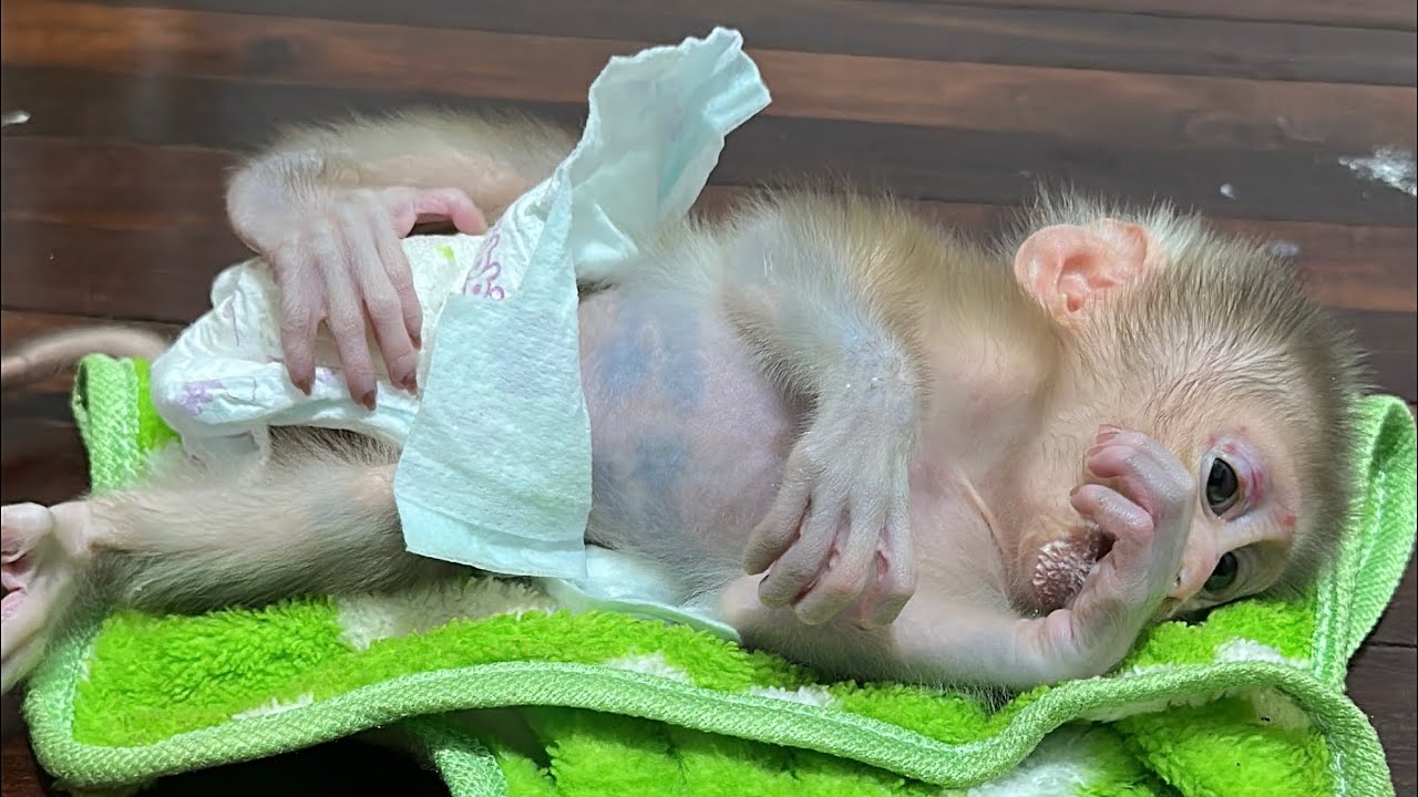 When little lovely 🥰 baby boy drik milked full he always sleeps and plays love you baby 