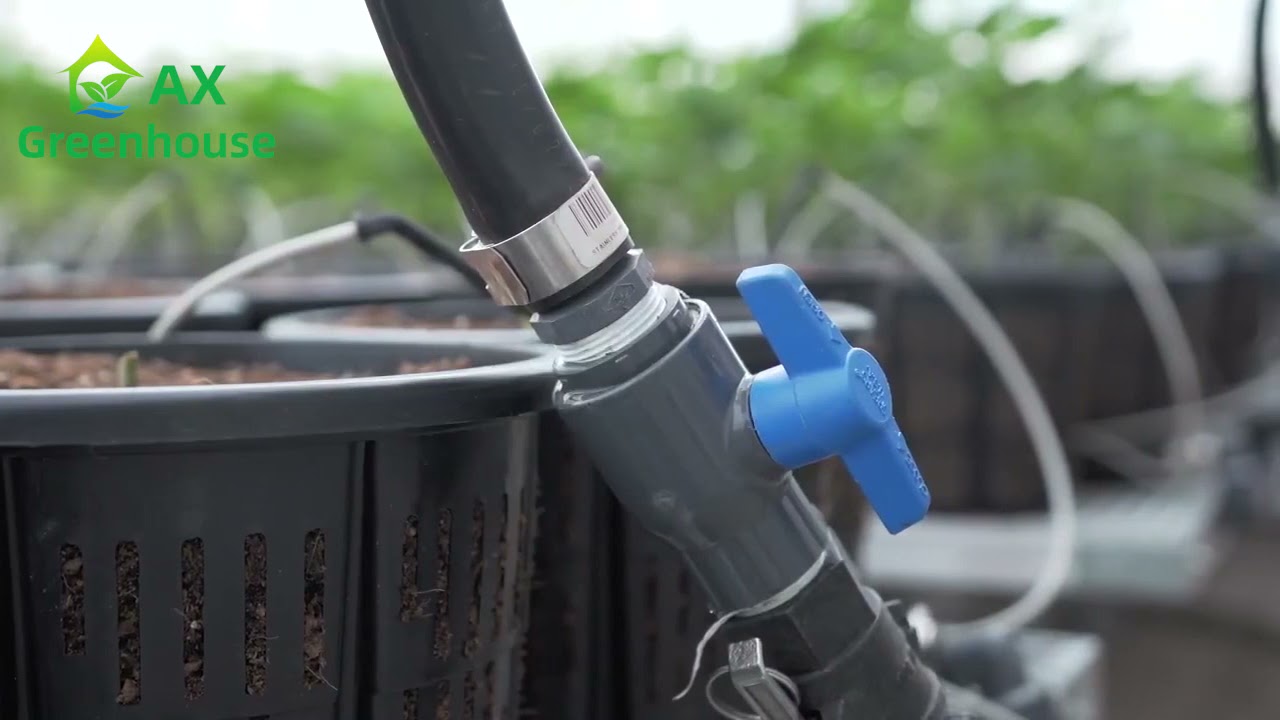 what kind of light deprivation cannabis greenhouse looks like a good greenhouse