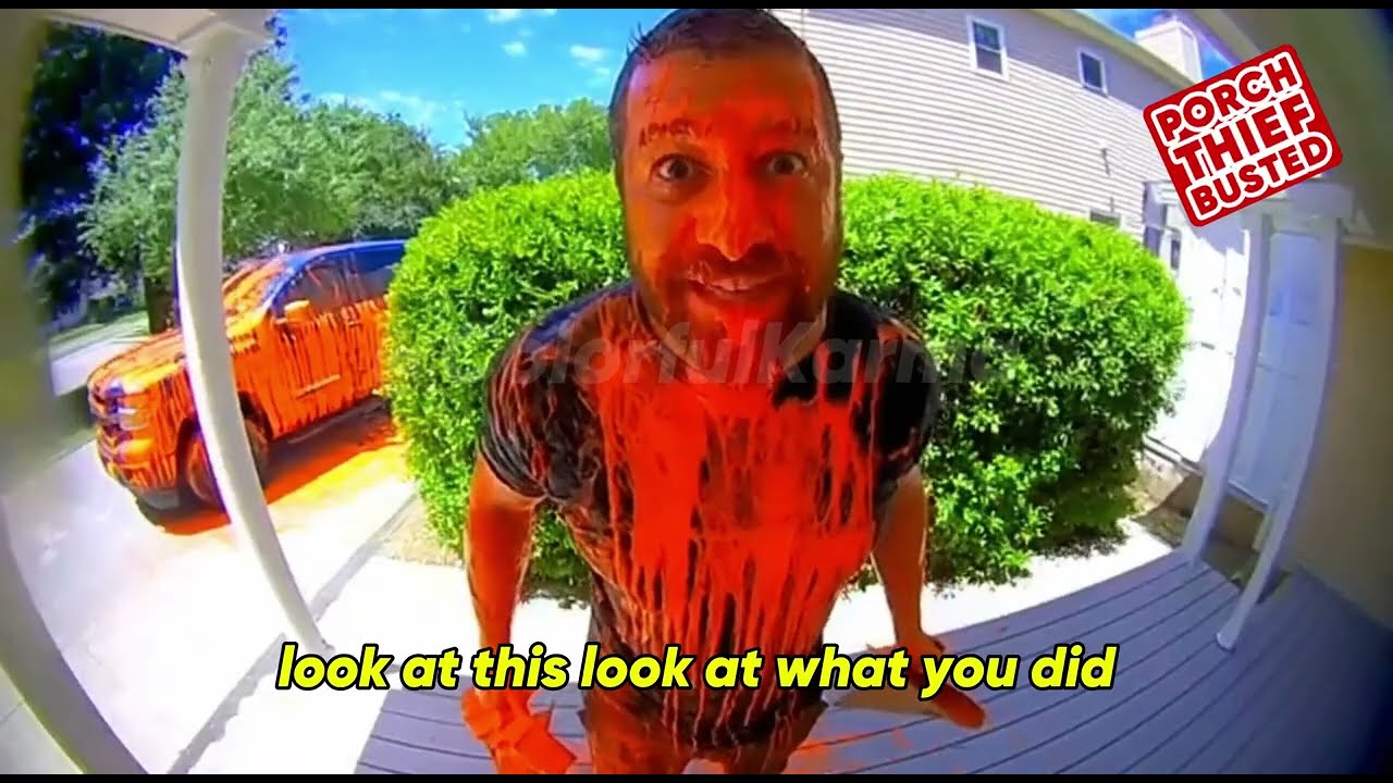 The Ultimate Porch Pirate Revenge Compilation