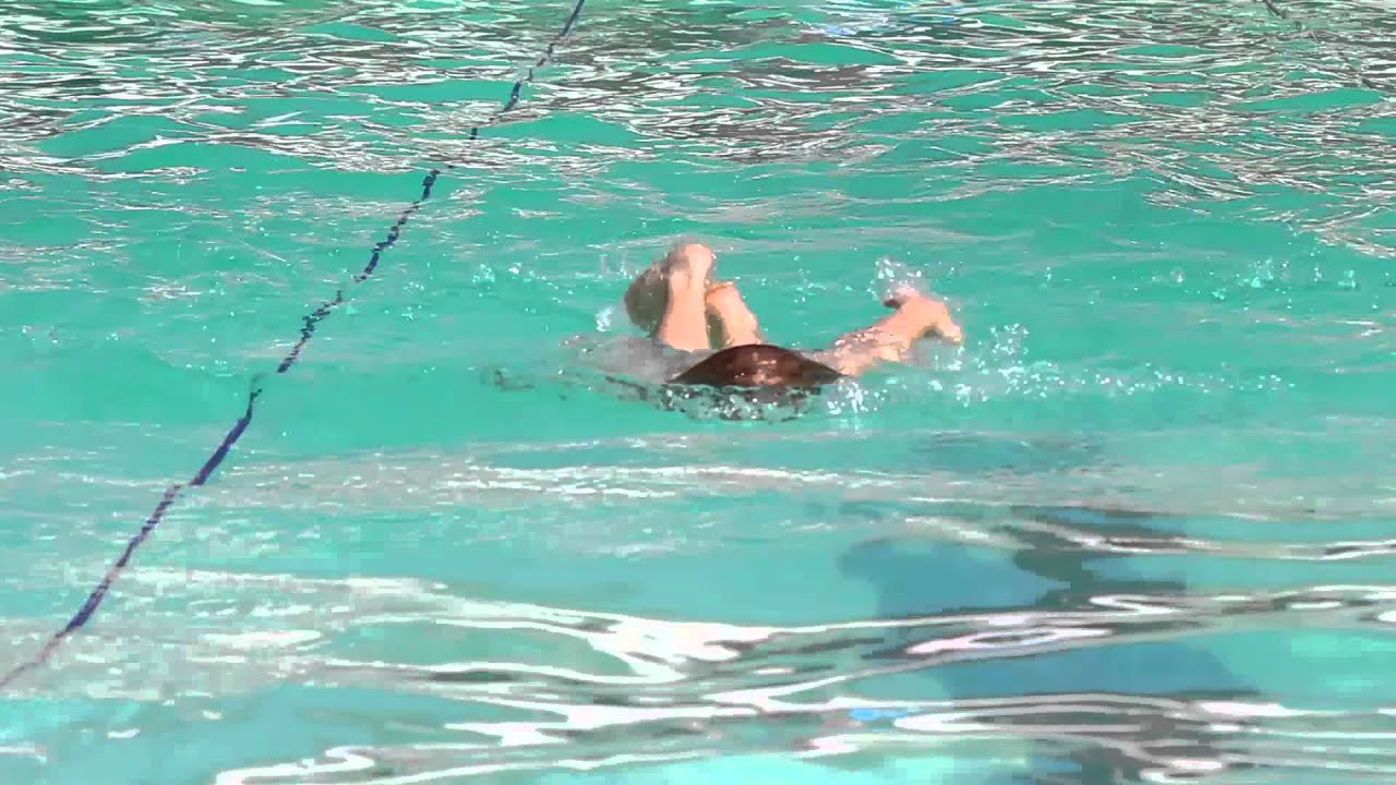 BISA Swimming Gala 2015
