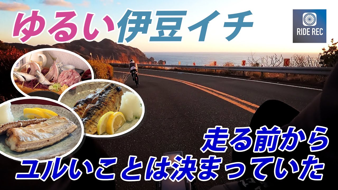 【伊豆イチ】浮かれ気分でツーリング【ロードバイク】