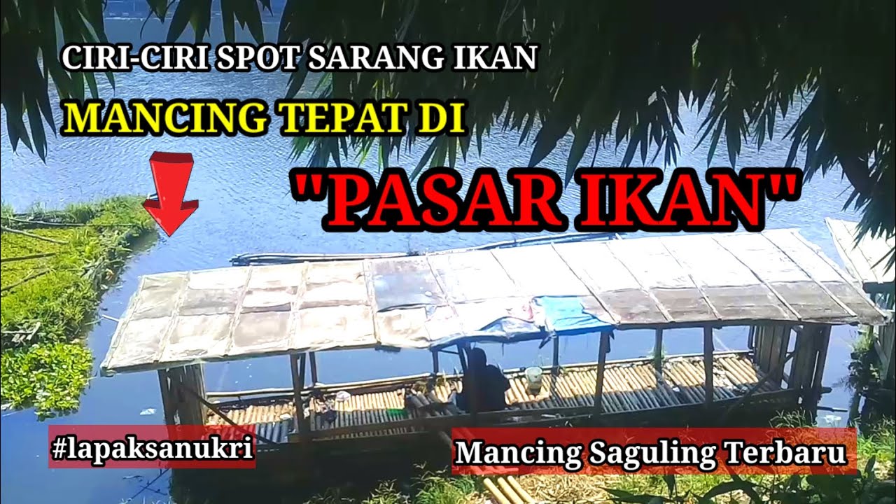SEPERTI MANCING DI PASAR IKAN//MANCING SAGULING TERBARU//LAPAK H.SANUKRI