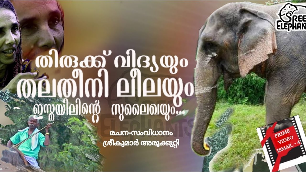 മരിച്ചു പോയ പാപ്പാന്റെ ആത്മാവിന് വേണ്ടി ഒരു ദിവസം മാറ്റിവയ്ക്കുന്ന തലതീനി ലീല ...!
