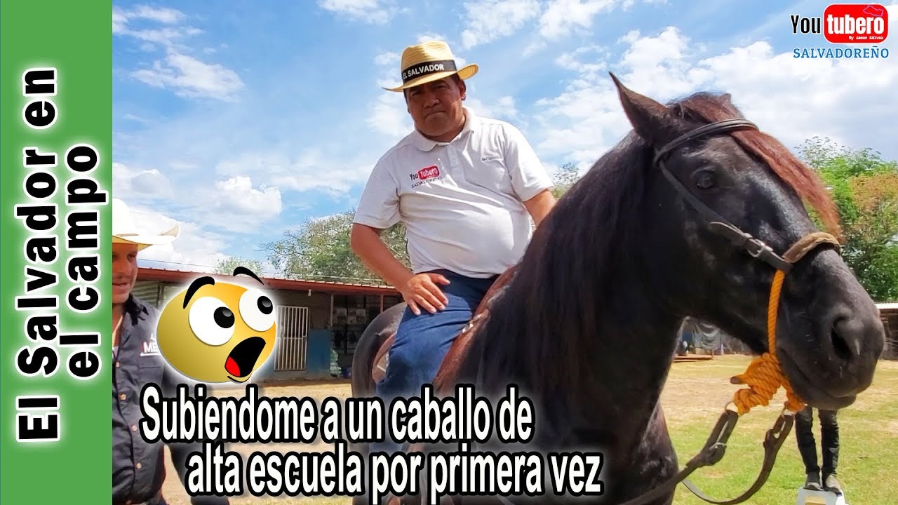 Montando un caballo de alta escuela por primera vez | La vaquita de oriente