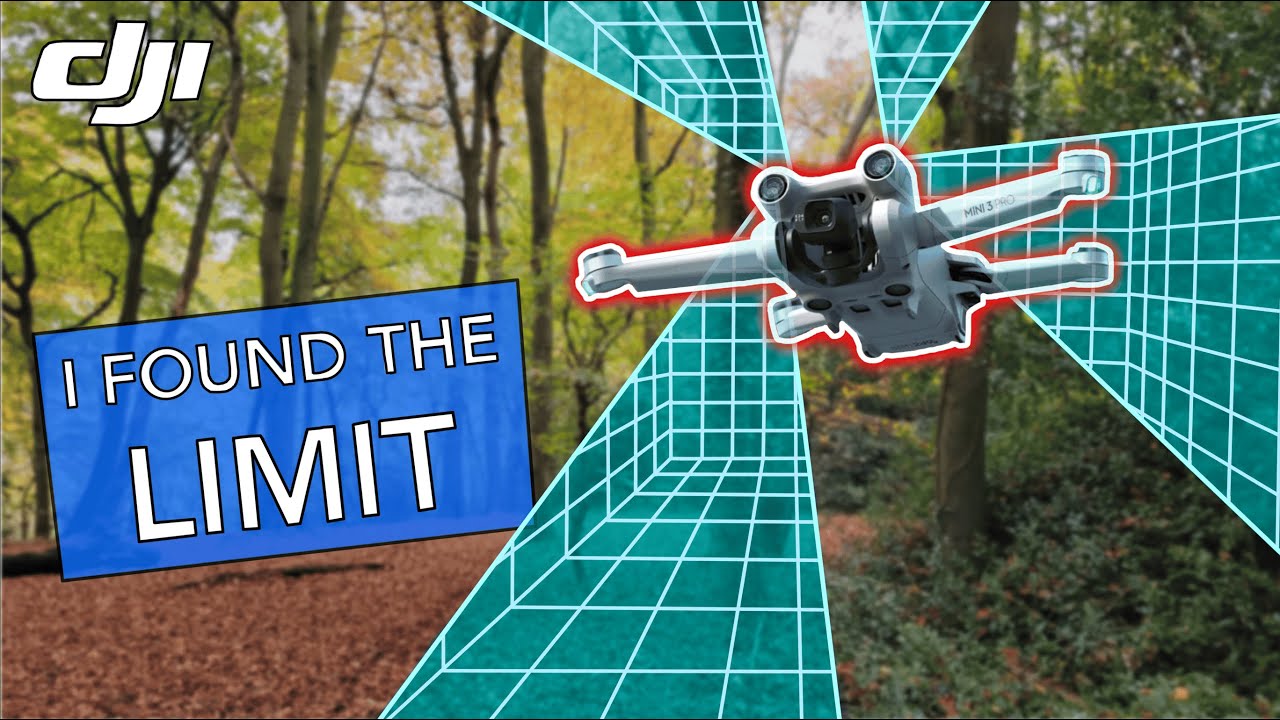 DJI Mini 3 Pro в ЛЕСУ: максимальное уклонение от препятствий