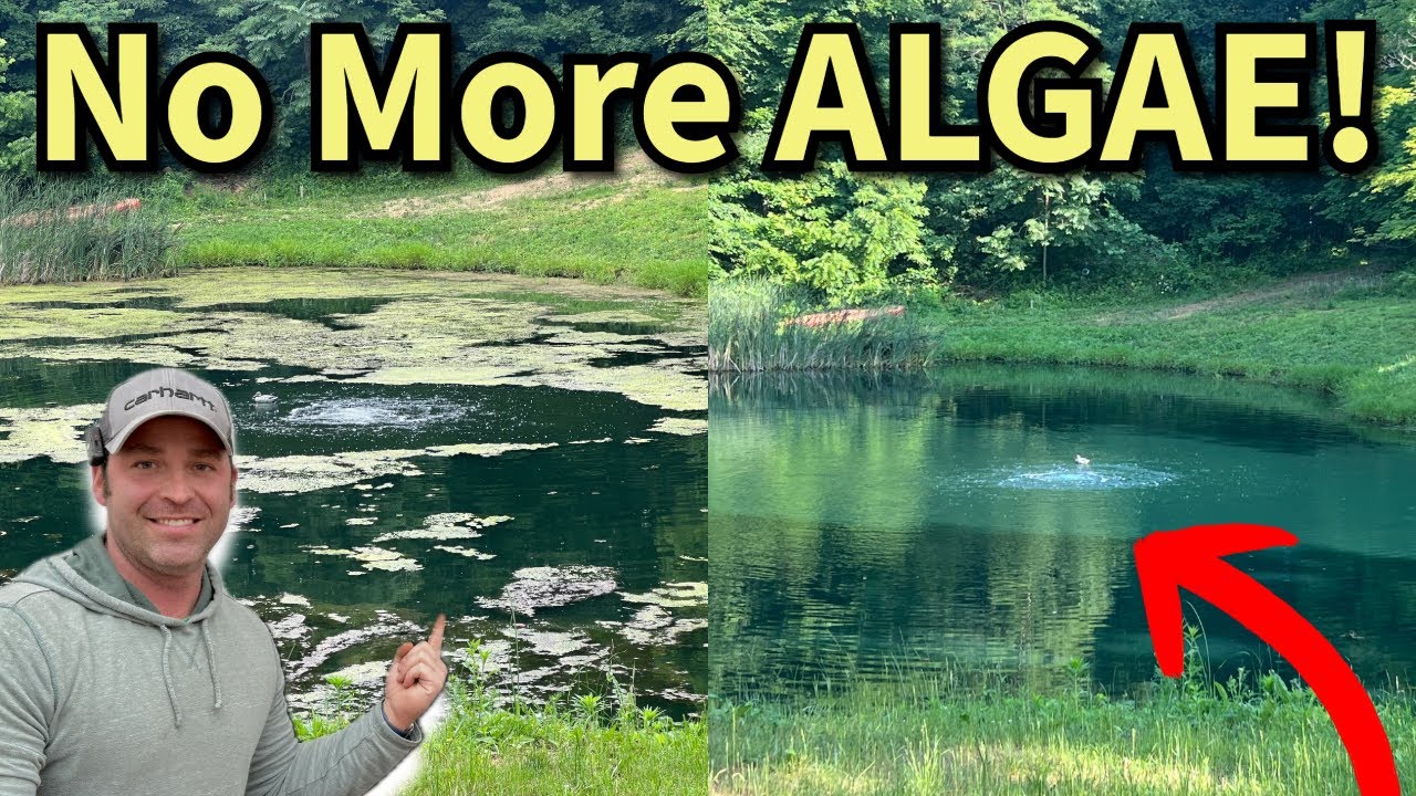 How I Got My Pond Looking Clean Again &mdash; Easy Maintenance Kit