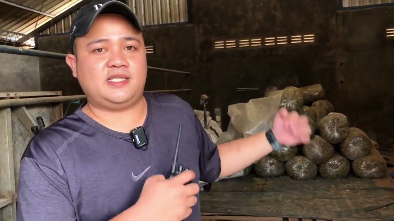 UPDATE TERKINI KANDANG MITRA TERNAK INDONESIA