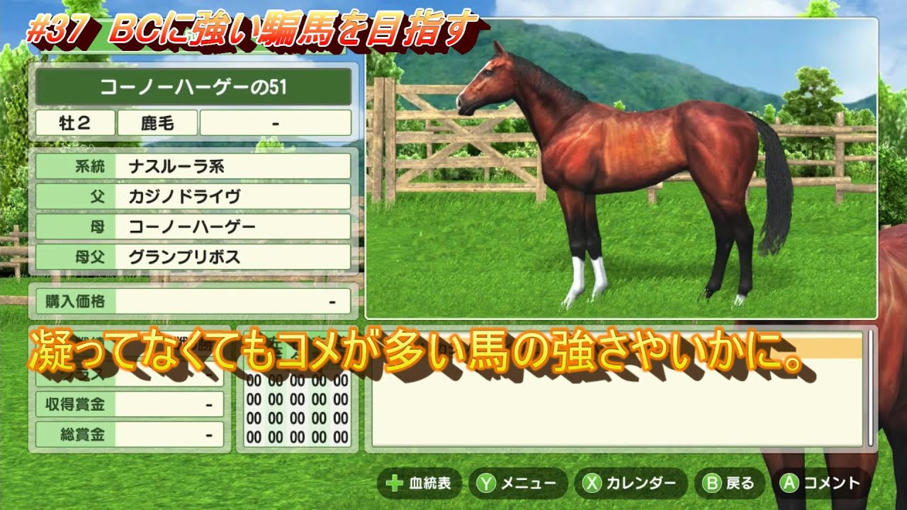 【ダビスタ switch】騙馬育成 #37 凝ったも面白もないがスピードニトロは一応10超えでBC登録なるか！？