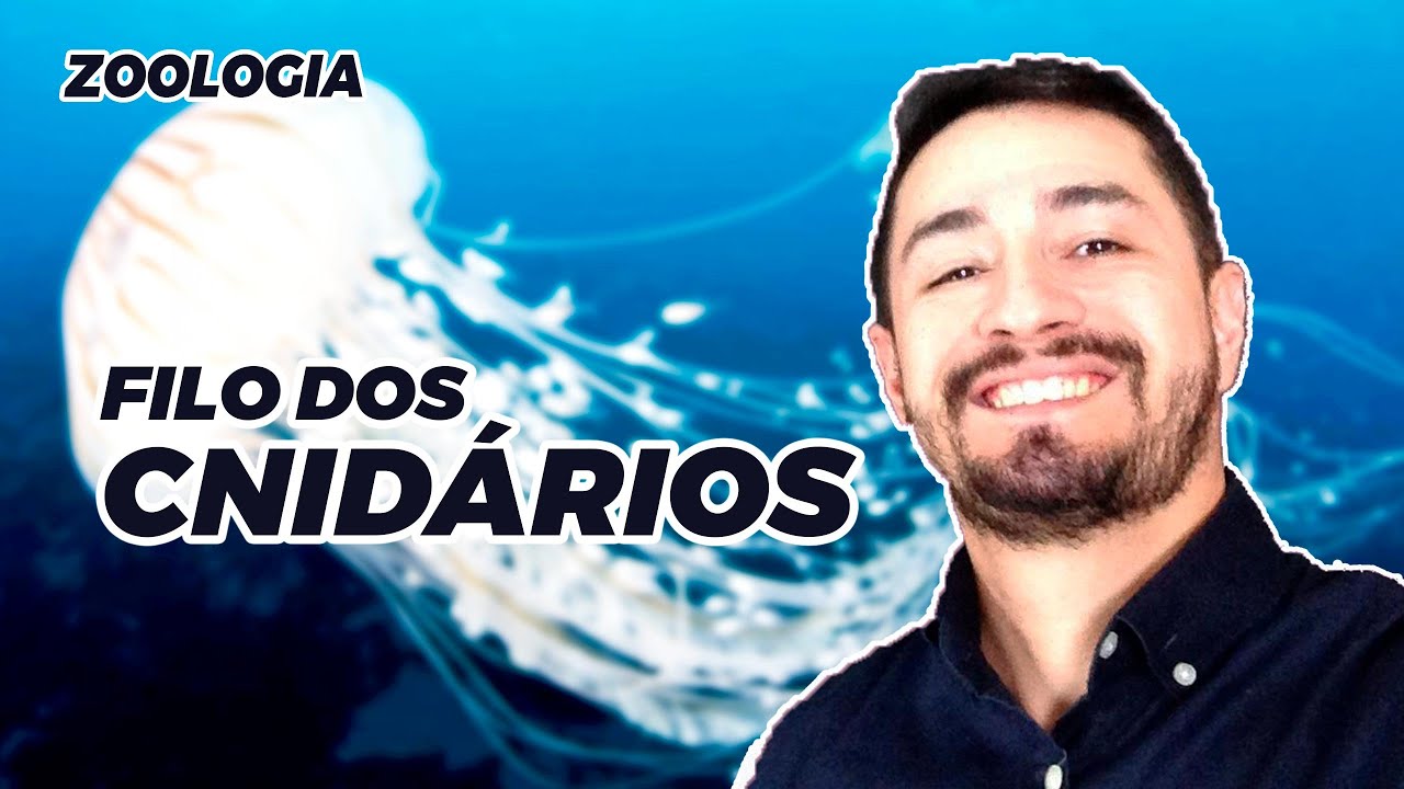 ZOOLOGIA | FILO DOS CNIDÁRIOS