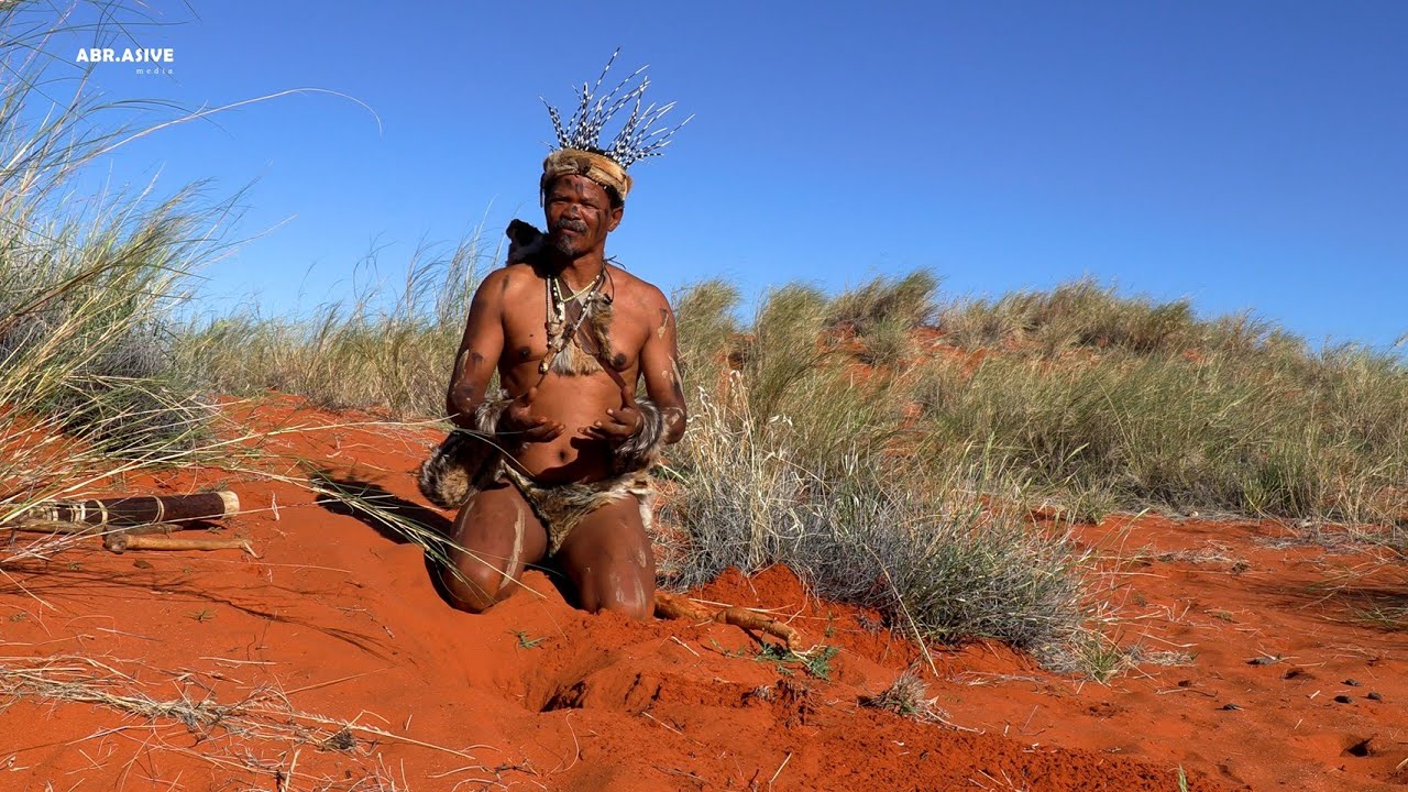 A Traditional Khoisan Medicine | Gemsbokwortel | - !’Aru |Khuiso Piet Berendse