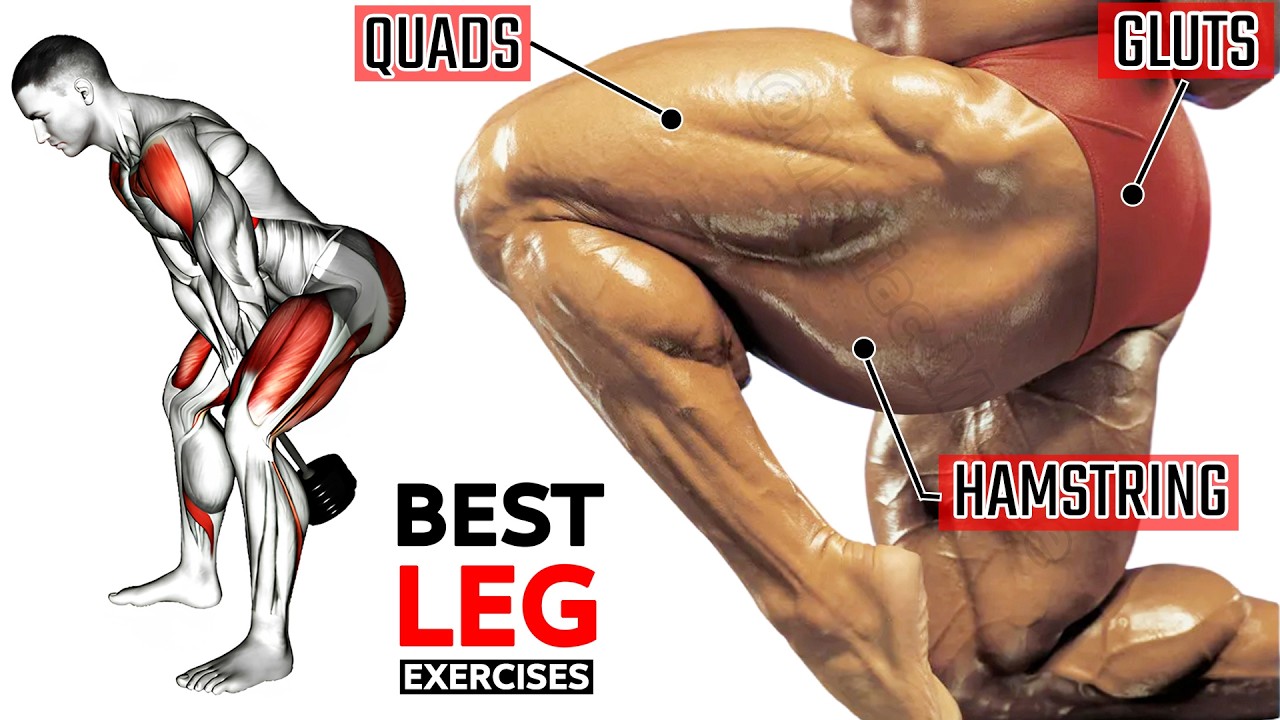 8 BEST LEG EXERCISES TO GET WIDE THIGH WORKOUT !🎯