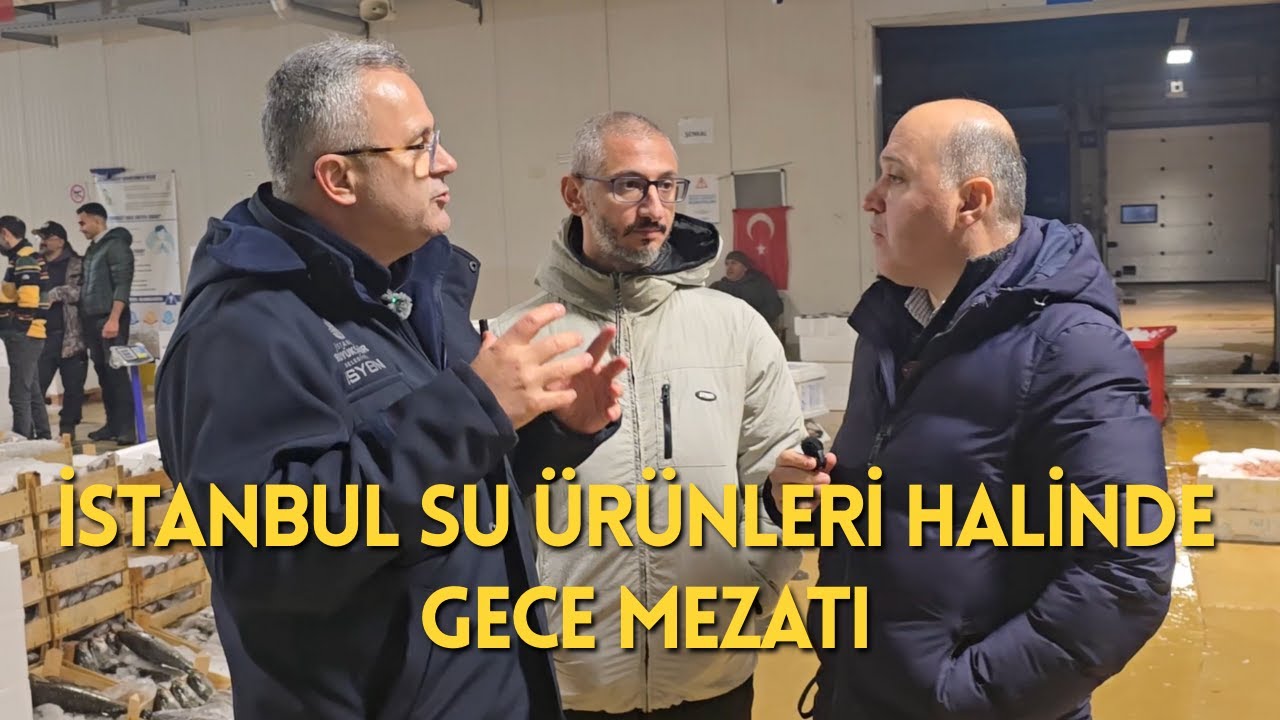Balık Halinde Gece Nöbeti | Balığın Sofralara Uzanan Yolculuğu