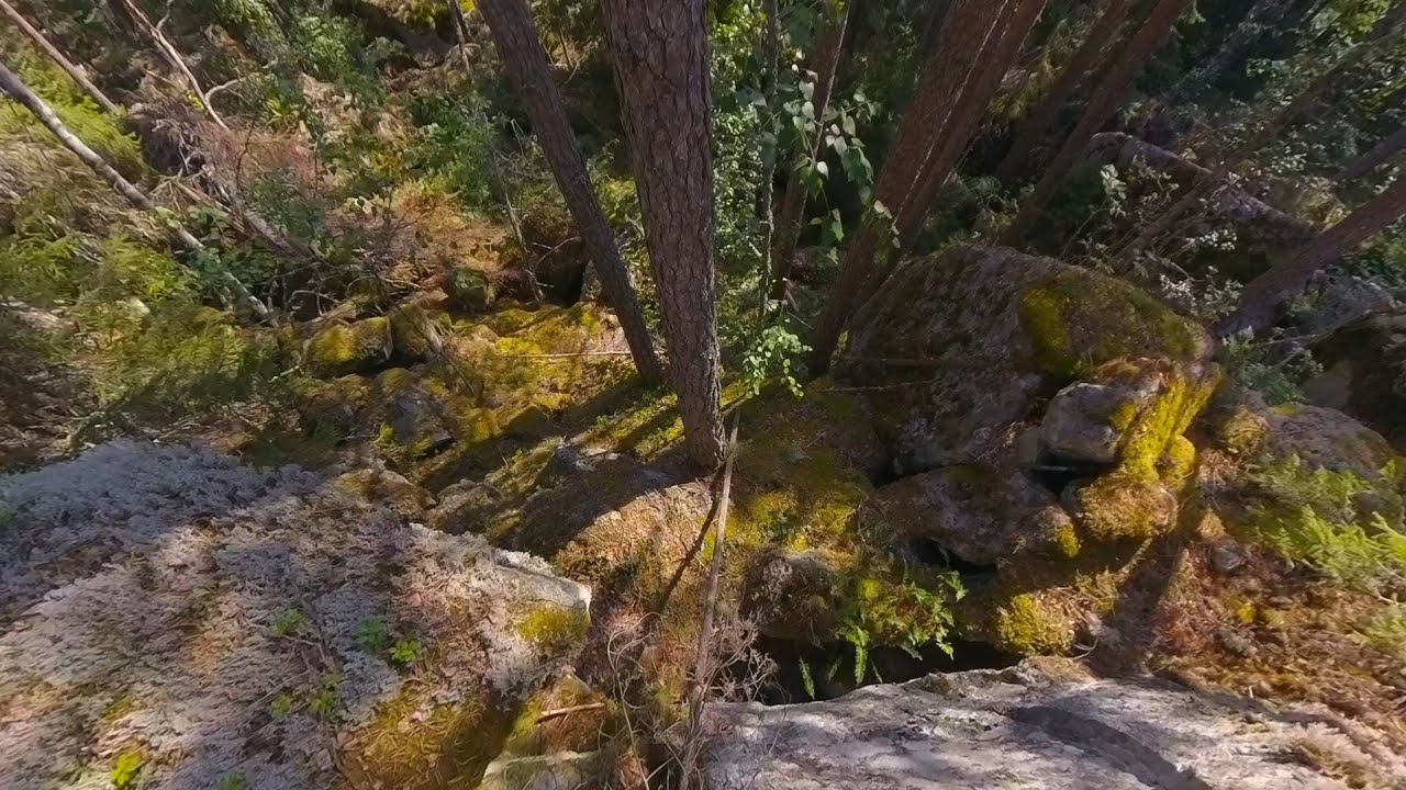 A challenging walk in a Finnish forest with a 360 camera {2025.08.10}