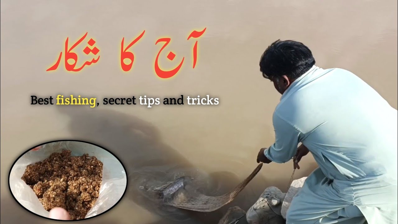 دریا میں دھڑا دھڑ شکار 😲 | خفیہ Fishing Tips جو کوئی نہیں بتاتا 🎣