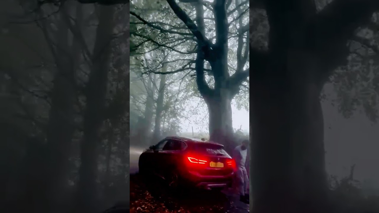 Wales United Kingdom, kannad VLOG, #nature #unitedkingdom