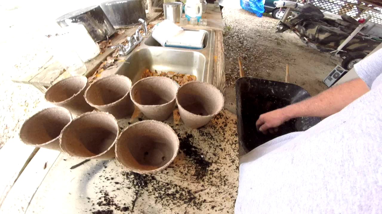 Re potting plants  Finished knives