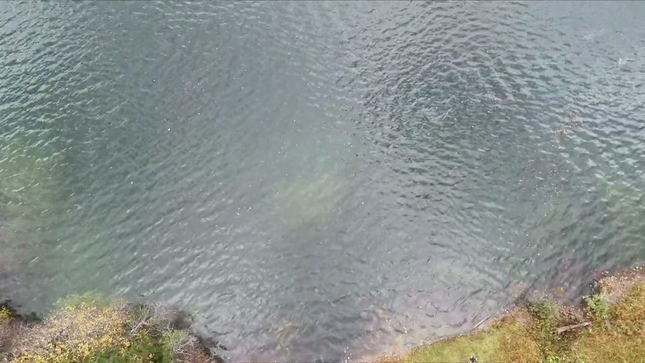 Wägitalersee im Herbst