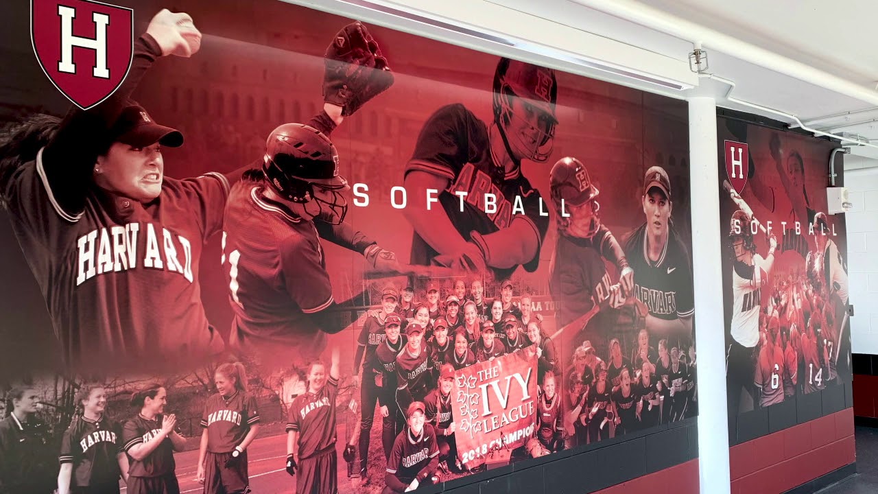 A Virtual Look Inside: Softball
