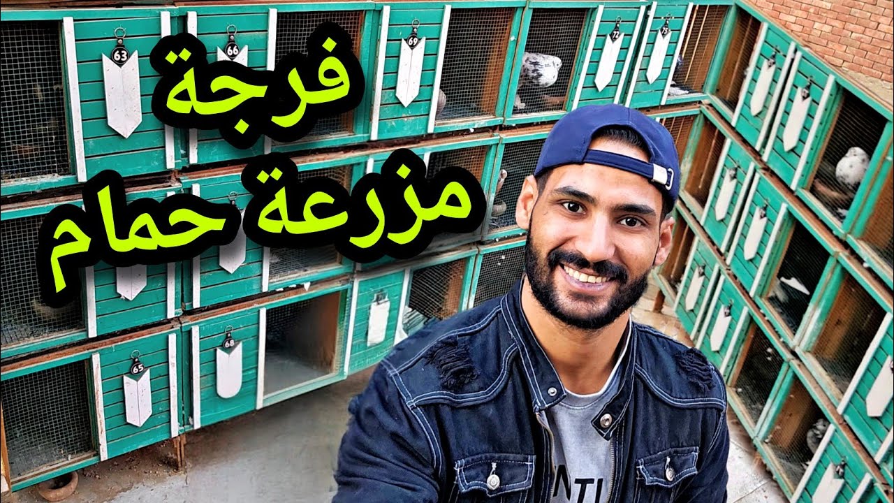 فرجة مزرعة حمام ابو مريم التونسي 😍اتفرج عالحمام والمكان