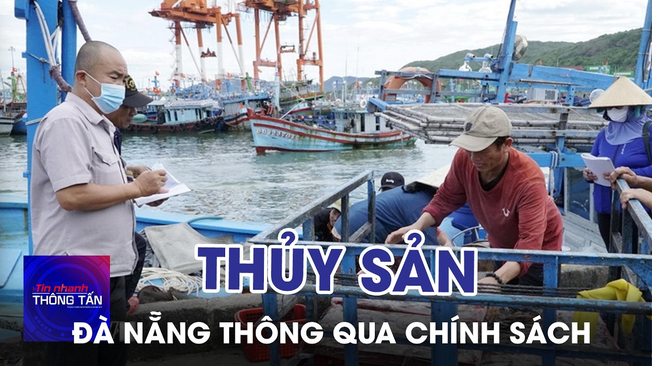 Đà Nẵng thông qua chính sách hỗ trợ phát triển thủy sản | Tin nhanh Thông tấn