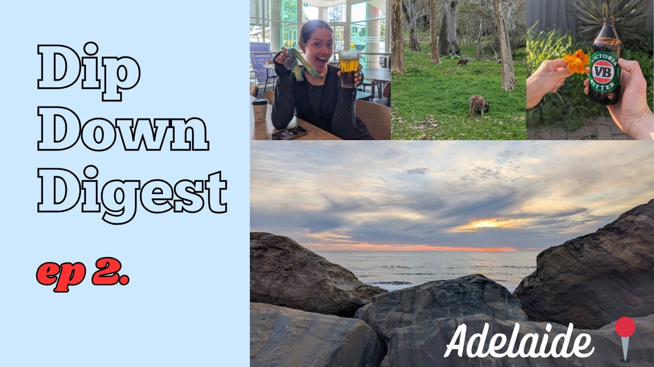 Dip Down Digest ep.2 - 12k, beach vibes, burgled neighour?!