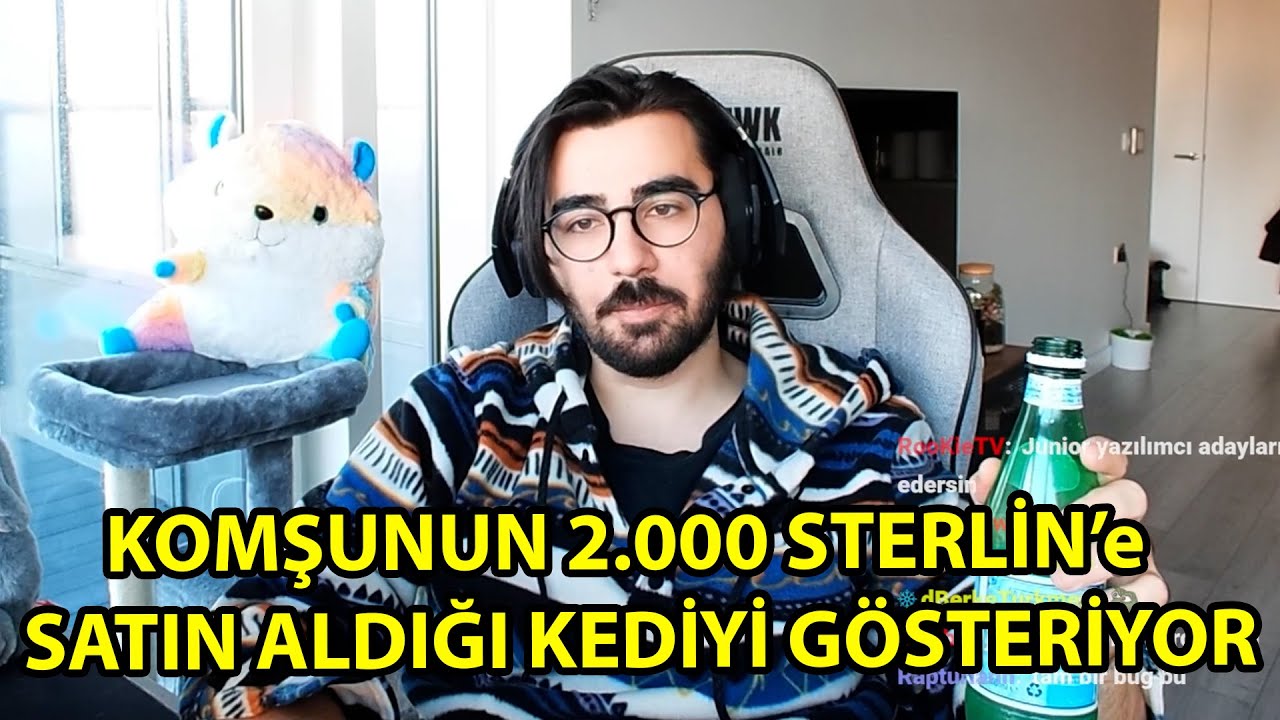 Komşusunun 2000 Sterlin Vererek Satın Aldığı Kediyi Gösteriyor | Videoyun