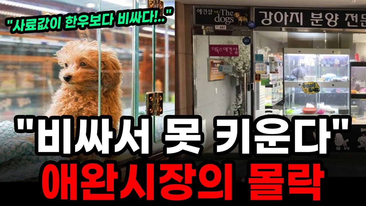 반려동물 1,500만 시대, 왜 줄줄이 망하나? - 애완 시장의 붕괴