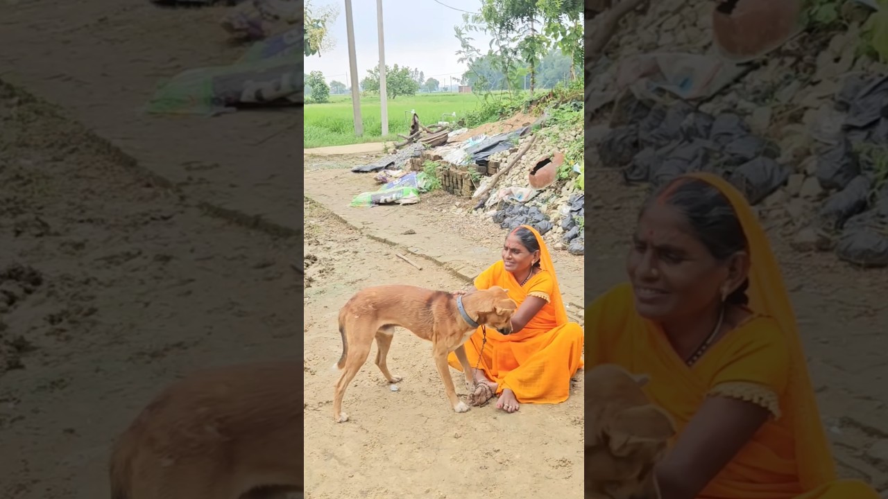 Saari duniya jalaa dunga 😭 #shorts #shortvideo #viralshorts #status #viralvideo #viral