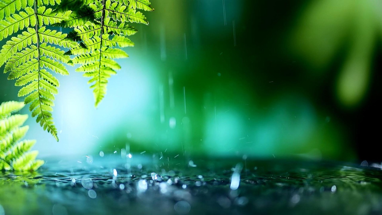 Raindrop Sounds| Perfect for Sleep, Meditation, Relaxation| Calming | Let the rain do the talking 🌧️