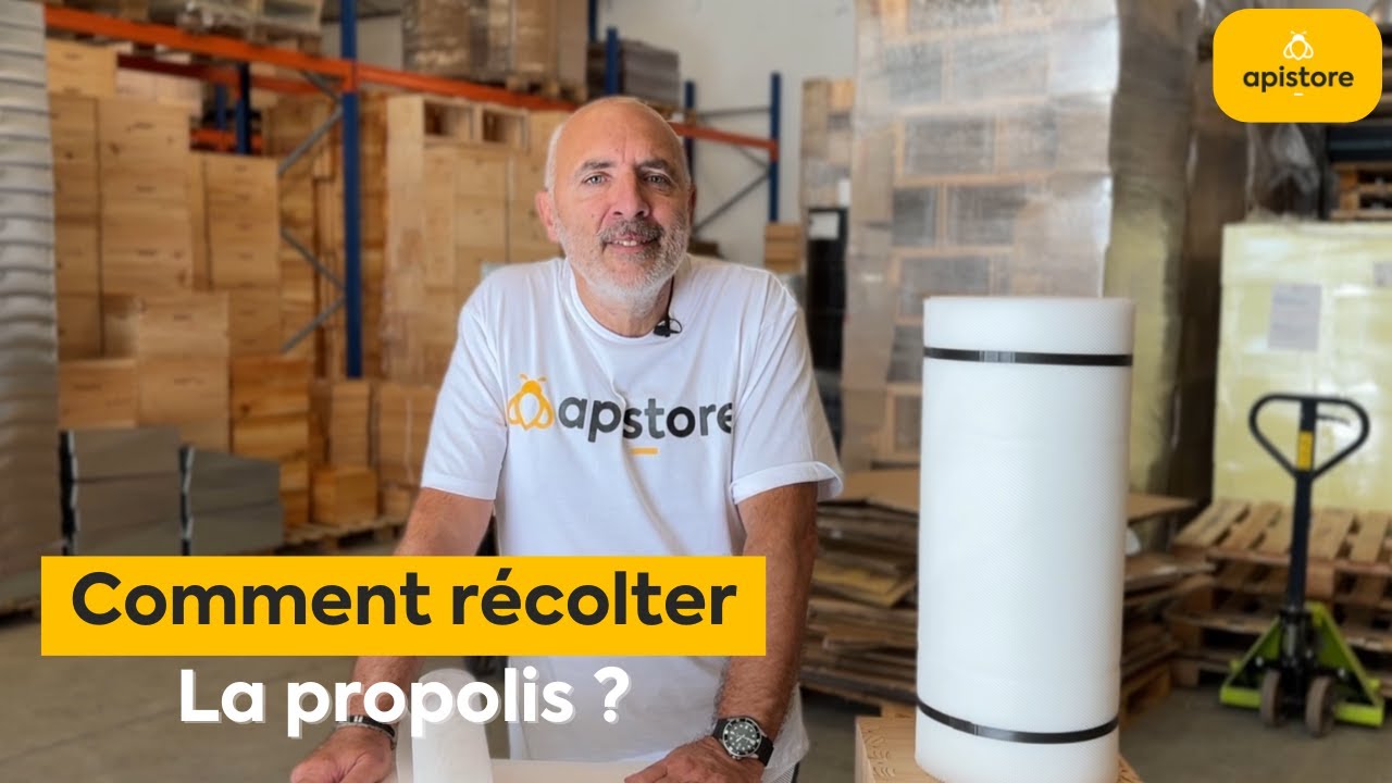 Comment récolter la propolis ?