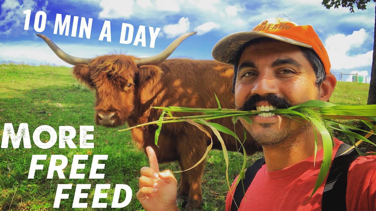 SAVE MONEY AND TIME - ROTATIONAL GRAZING THE EASY WAY