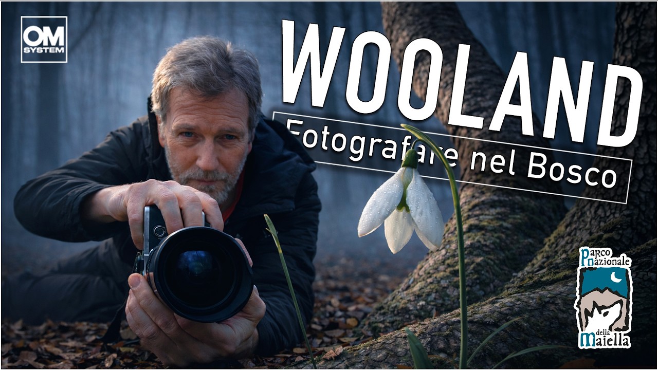 Woodland Photography nel Parco Maiella: come fotografare il bosco nella nebbia