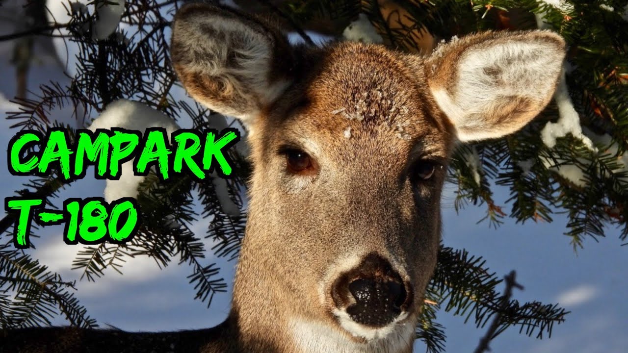 CamPark T 180 Trail Camera / Hunting Camera Review