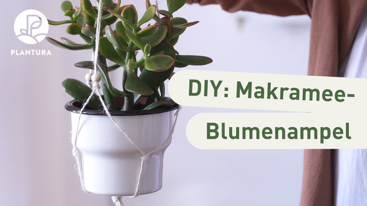 Makramee Blumenampel selber machen (Anleitung)