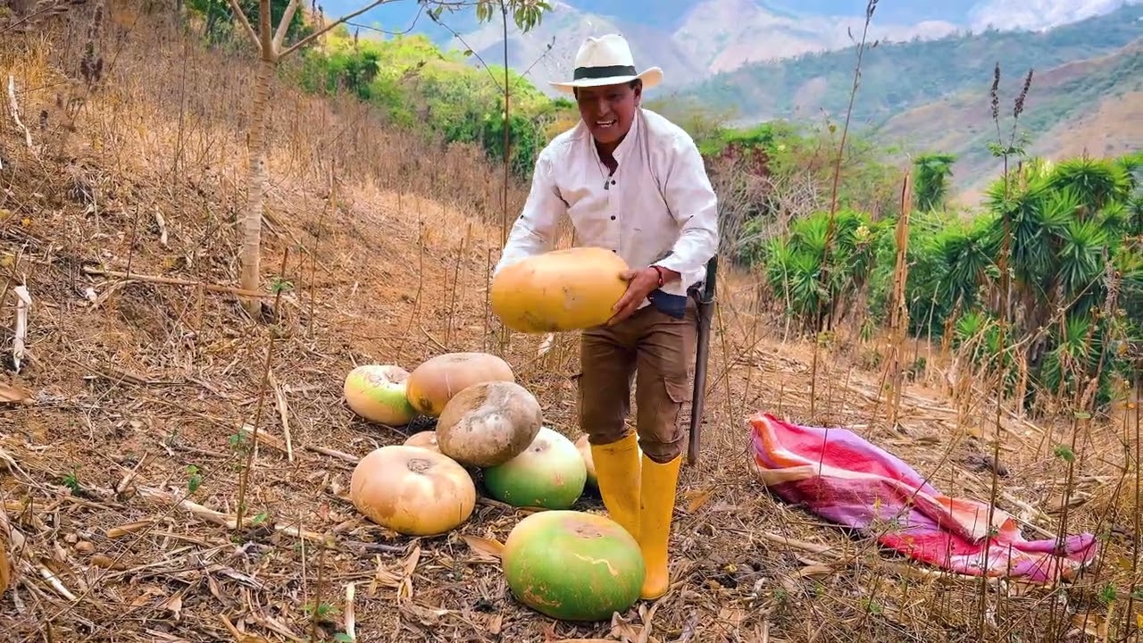 A veces pasan estas cosas en la finca cuando cosechamos las lapas