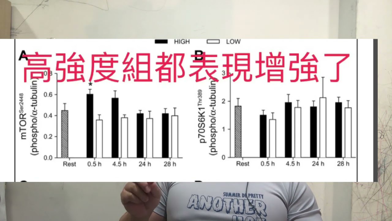 高強度與低強度有氧運動對骨骼肌的影響