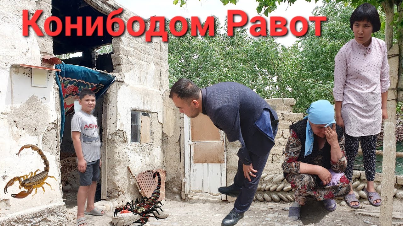 ш Конибодом 2024 Срочно Тамошо Кунед