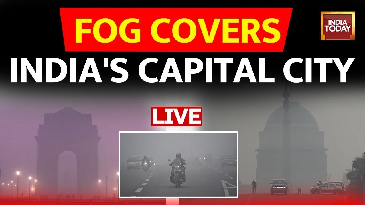 Delhi Fog News LIVE: Dense Fog Blankets Delhi As Cold Wave Continues, Visibility Almost Zero