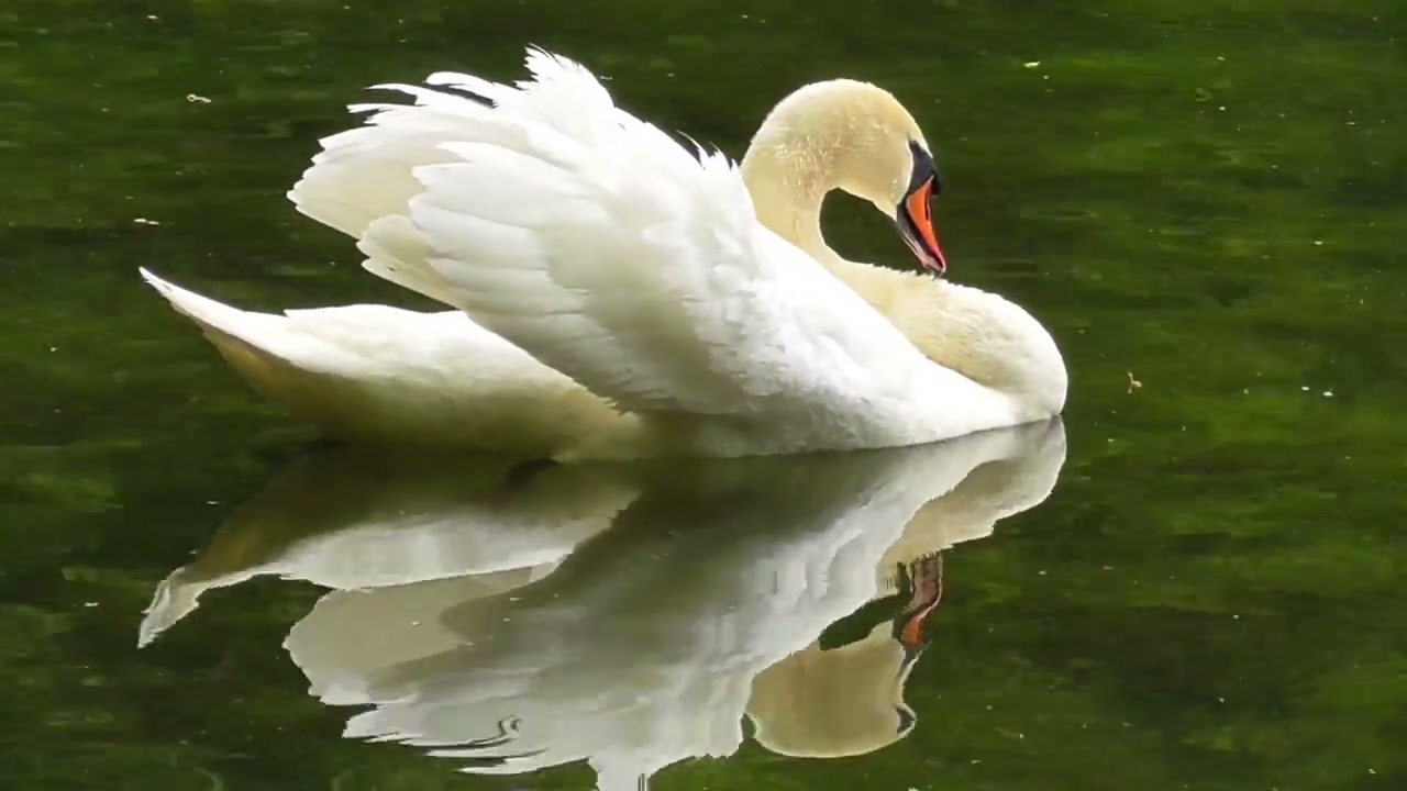 Country Rock With Slide Mountains Snow Peak Top Dolomites Alps Drill Board Hole Repair Winter