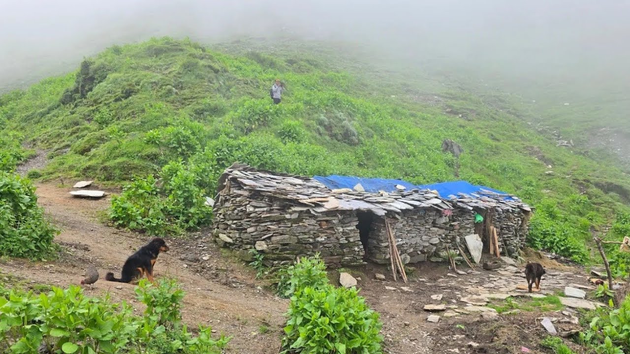 This is Himalayan Village Life | organic Food Cooking in countryside village | Village life #iran 