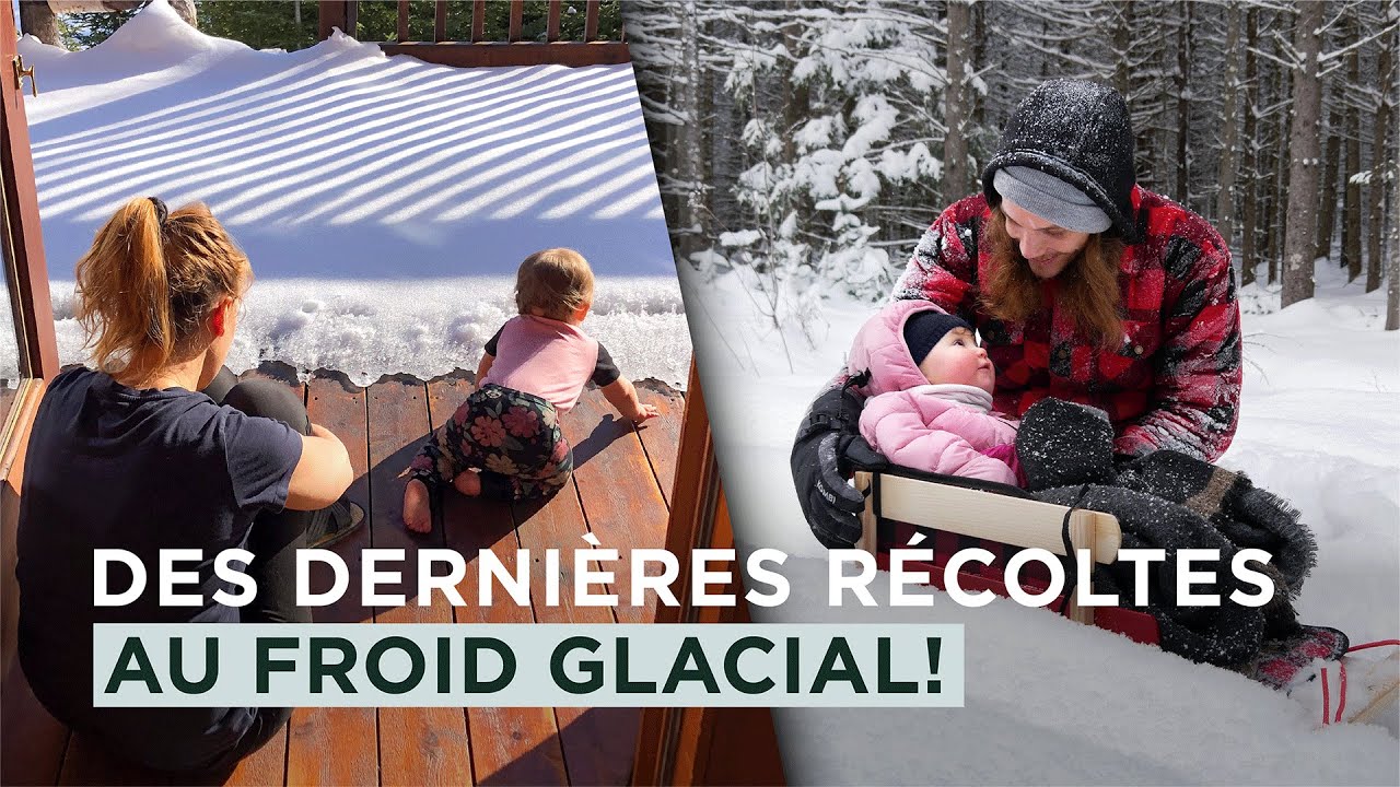 34 - Des DERNIÈRES RÉCOLTES tardives au FROID GLACIAL de notre bel HIVER QUÉBÉCOIS!