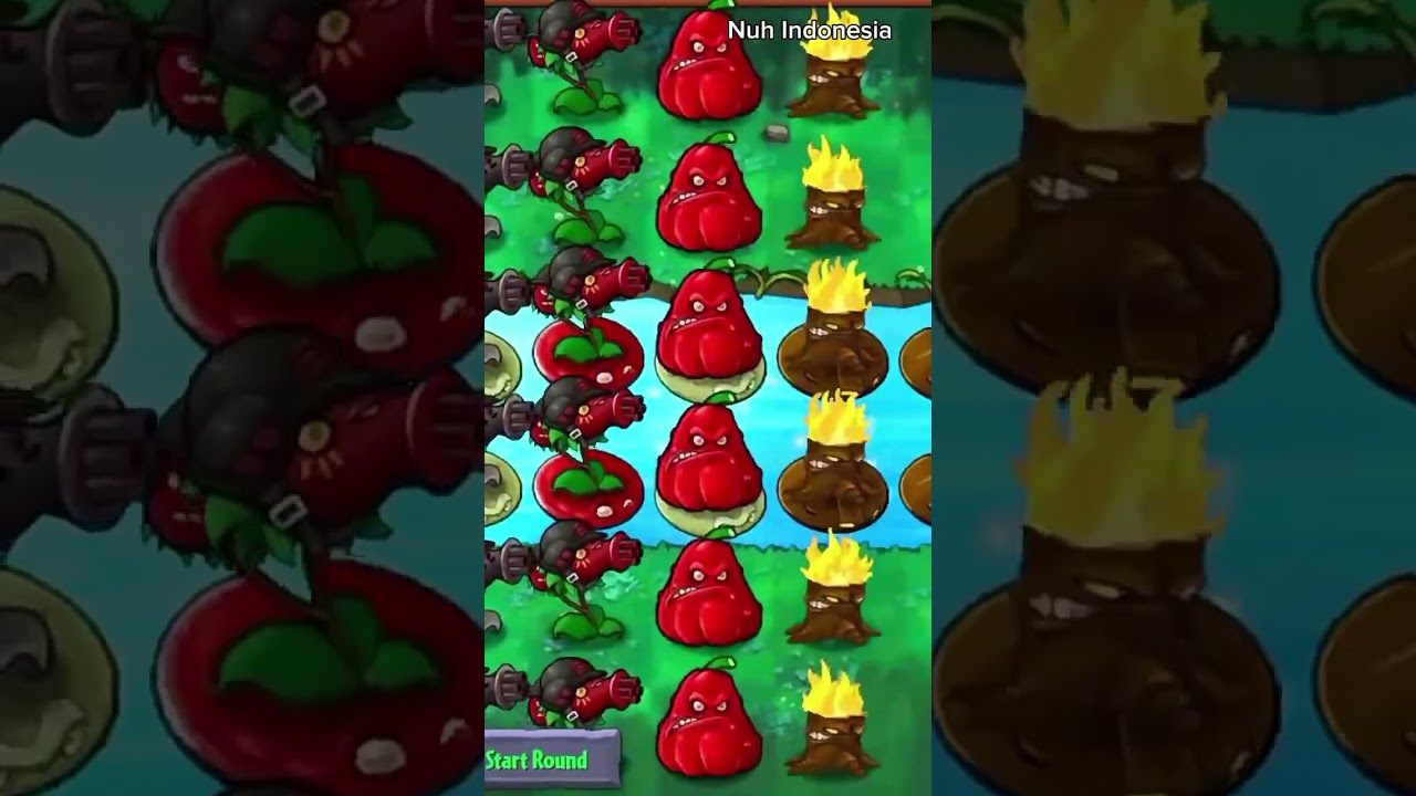 Zombie vs plants level MAX 