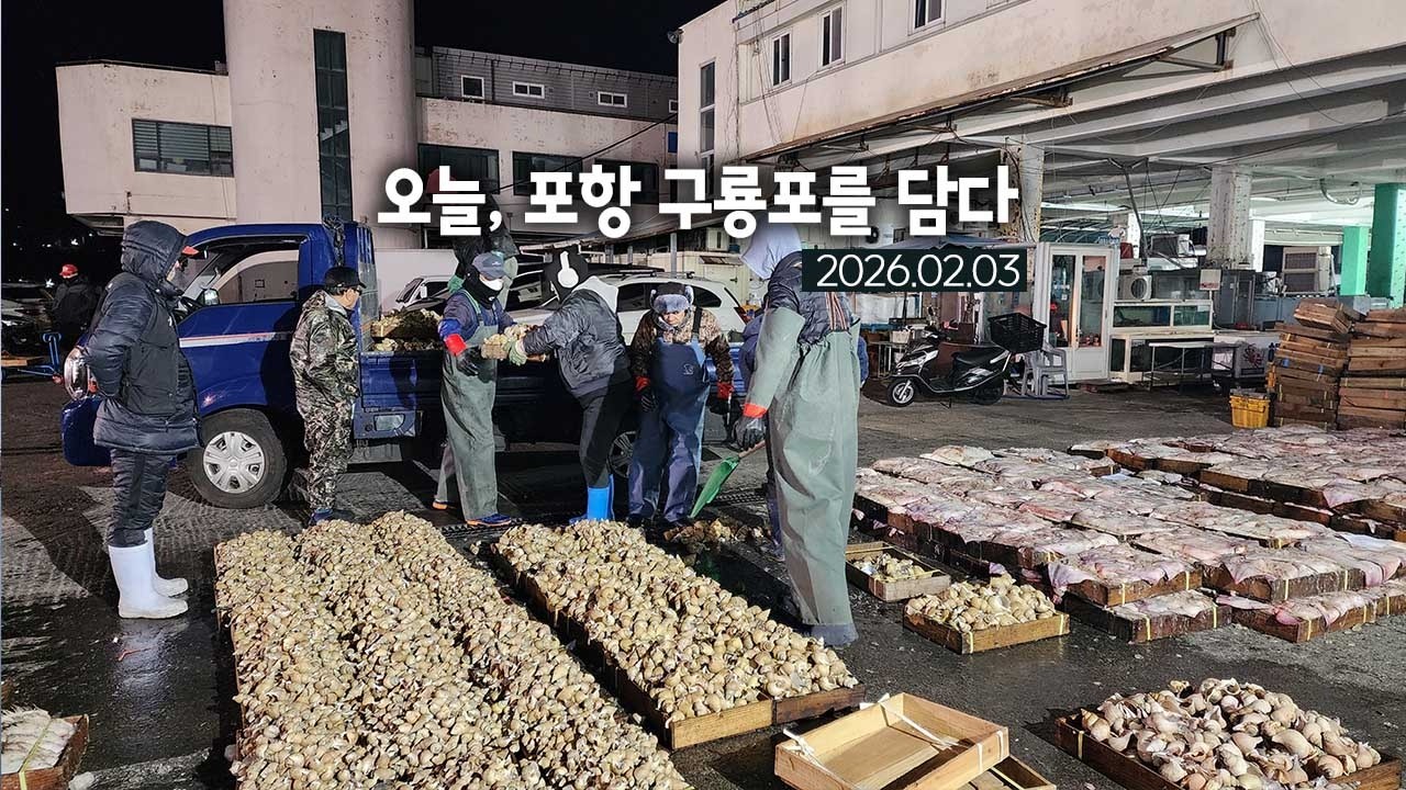 오늘, 포항 구룡포를 담다 2026.02.03