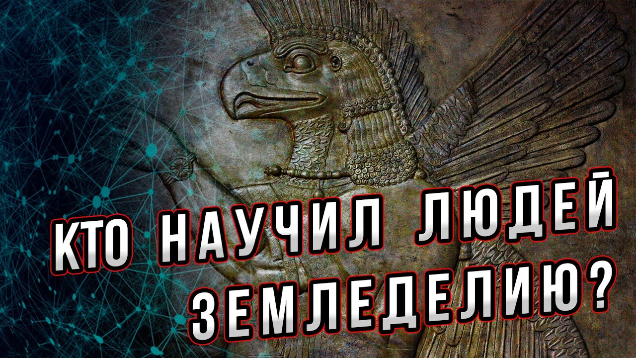 Загадка появления земледелия. Как оно пришло к людям? Цикл - 