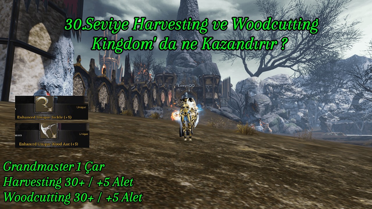 Kingdom' da 30.Seviye Harvesting & Woodcutting  / +5 Unique Silahlar ile Denedik.